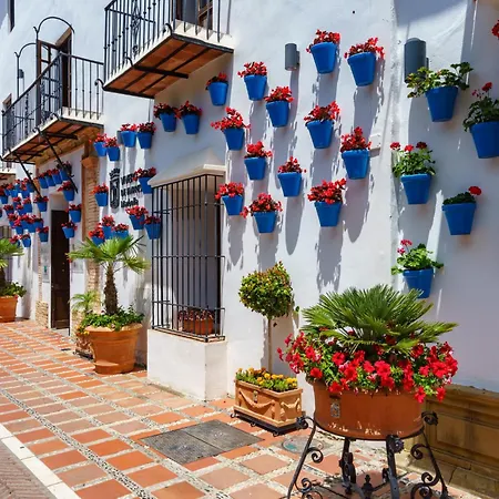 Cabopino-1 By Interhome Apartment Marbella